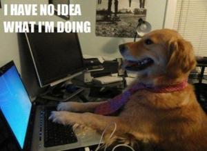 Harry on Twitter image 